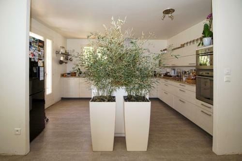Villa Dans Un Coin De Nature