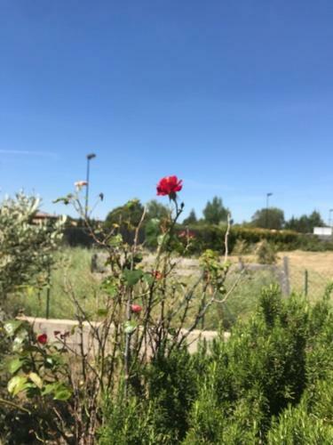 Bed & Breakfast Chambre En Ard�che Du Sud