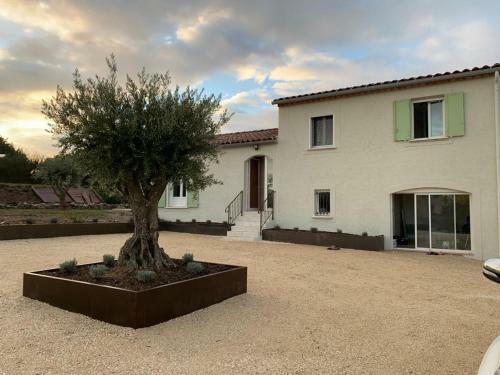 Saint-rem�ze La Petite Parenth�se