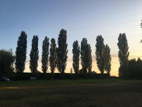 Domaine Des Epinettes