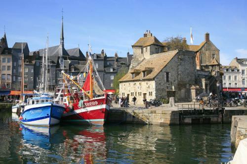 Apartamento Studio Meubl� Coquelicot Proche Le Havre - Honfleur - Etretat