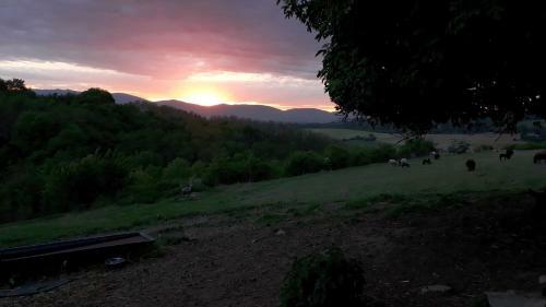 Une Pause Sur La Colline