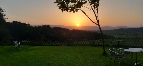 Une Pause Sur La Colline