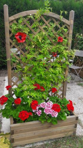 Apartamento Studio Les Coquelicots