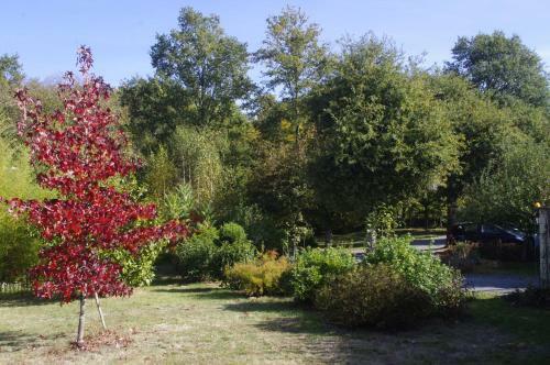 Bed & Breakfast Domaine De Sahil