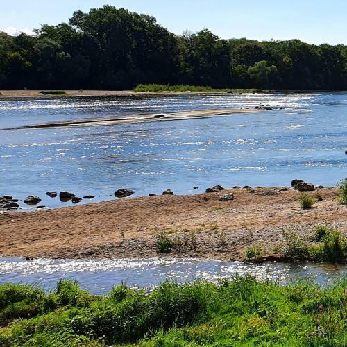 Apartamento La Cabine De Loire