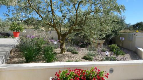 Les Lavandins-gite Fr�d�ric