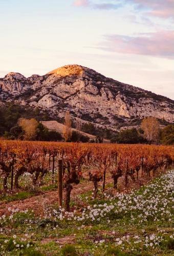Maison � Saint-r�my-de-provence