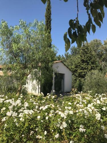 B&B Mas De Caustes