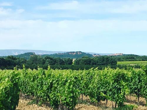 Hostal Villa Luberon