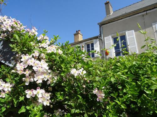 Bed & Breakfast L'escalier Des R�ves