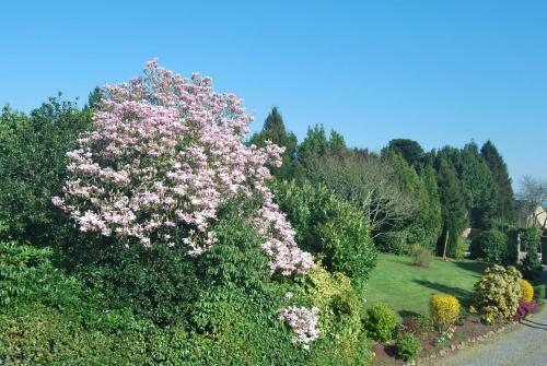 B&B Le Mesnil