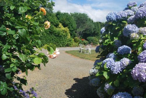 B&B Le Mesnil