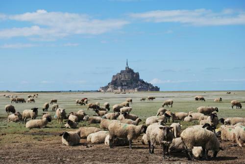 B&B Le Mesnil