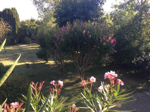 Bed & Breakfast Saint Sever Des Pyrenees