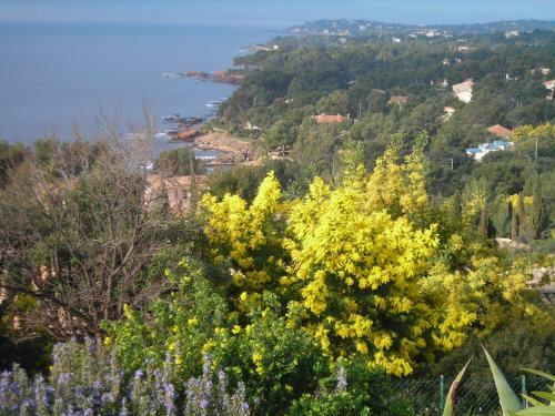Apartamento Duplex, 2p, Large Vue M�diterran�e/garage