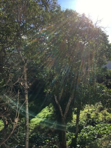 Apartamento Appartement Valescure