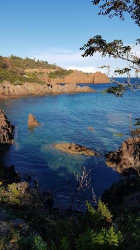 Saint Raphael - Appartement Dans Villa Au Calme � Valescure