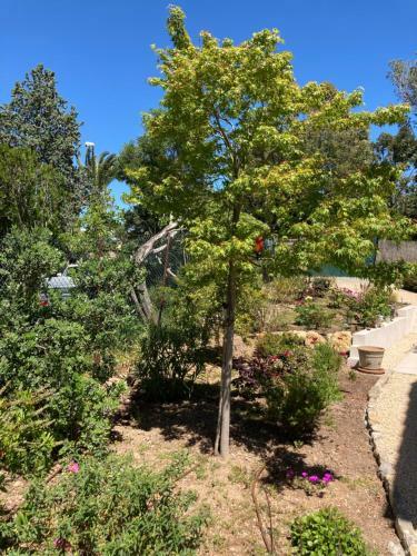 Hostal Villa Du Belv�d�re - La Chambre Mer