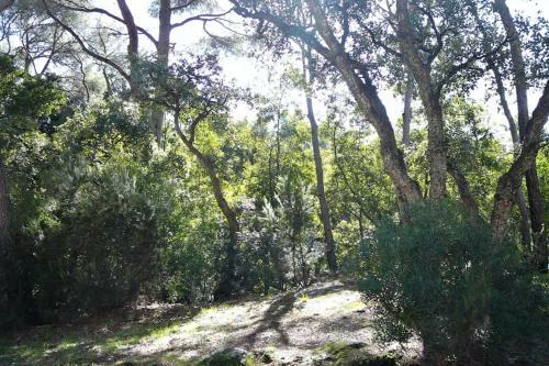 Apartamento Nice 35m At 450m From The Beach