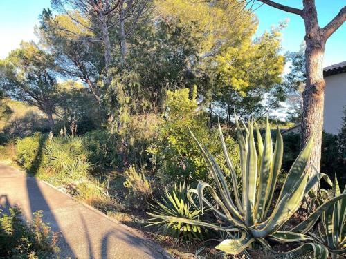 Apartamento Pin�de Mer Et Soleil Yourhosthelper