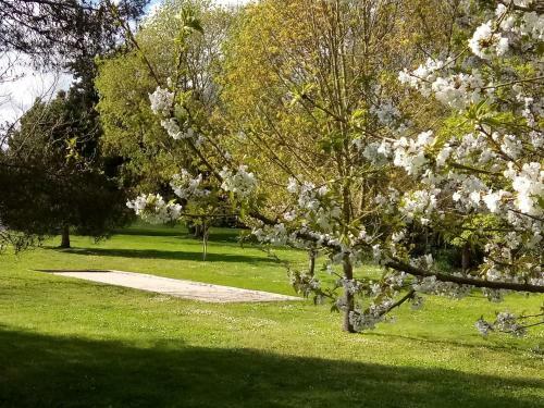 Bed & Breakfast Le Logis Des Langrottes