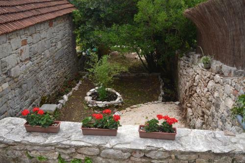 Apartamento Le Nid De Verdure