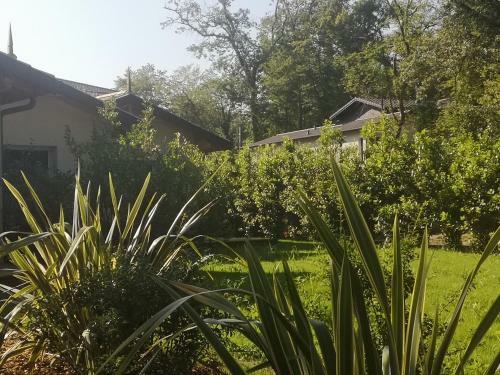 Apartamento Cabane Chic Et Romantique Merlot Pr�s de Bordeaux