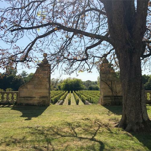 Bed & Breakfast La Chambre Bleue Du Ch�teau de Lescours � Saint-�milion