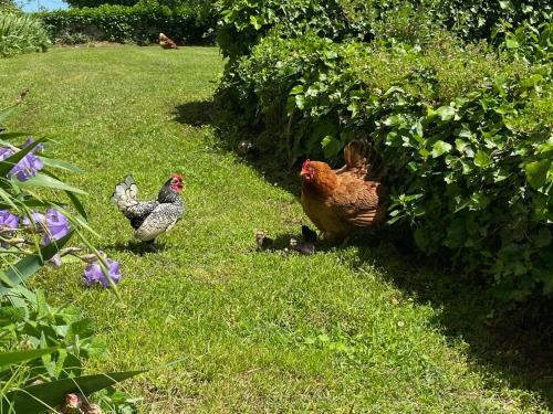 Bed & Breakfast La Chambre Bleue Du Ch�teau de Lescours � Saint-�milion