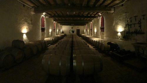 Bed & Breakfast La Chambre Bleue Du Ch�teau de Lescours � Saint-�milion