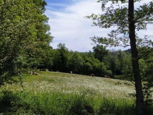 Carazen , Caravane Chauff�e