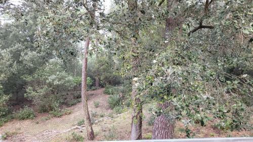 "le Cocon" Chambre D'h�tes Ou Gite
