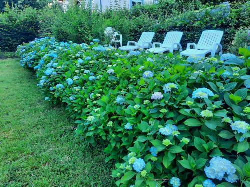 Hostal Le Clos Des Soyeux