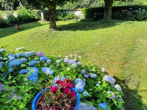 Hostal Le Clos Des Soyeux