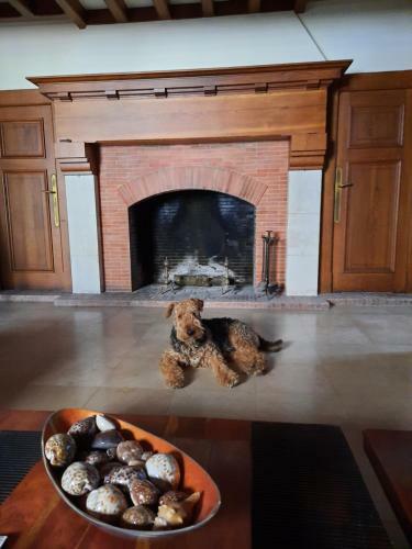 Hostal Le Clos Des Soyeux