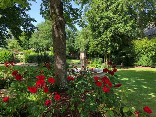 Apartamento Prieur� De La Chesnaie