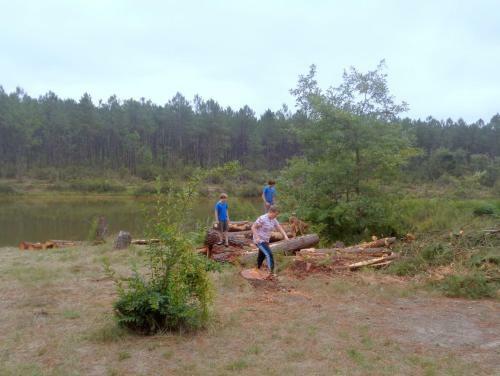 Cuckoo Lake Forest Cabin