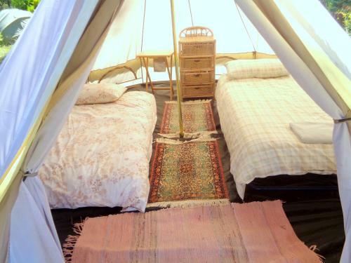 Cuckoo Lake Forest Cabin