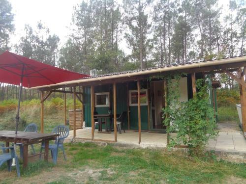 Cuckoo Lake Forest Cabin
