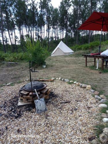 Cuckoo Lake Forest Cabin