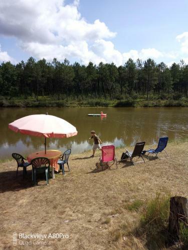 Cuckoo Lake Forest Cabin