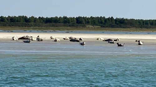 P'tit Somme En Baie