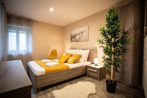 Apartamento La Madeleine -gare - Centre-ville - Home-one