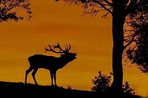 G�te Aux Portes D'aubrac