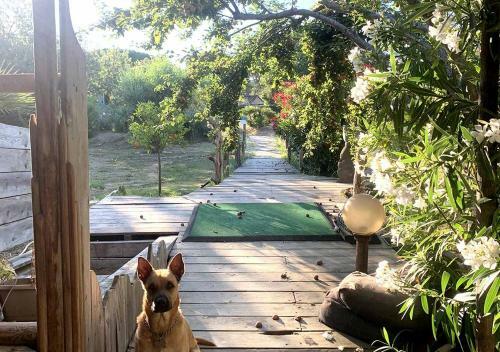 Beautiful House With Garden Countryside St Tropez