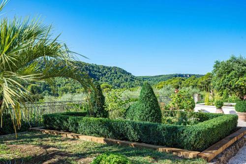 Gites Des Nymph�as Provence