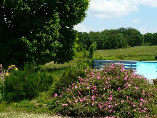 Apartamento Ch�teau R�galdo-saint Blancard
