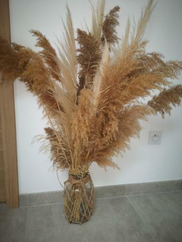 Bed & Breakfast Les Chambres Du Saunier