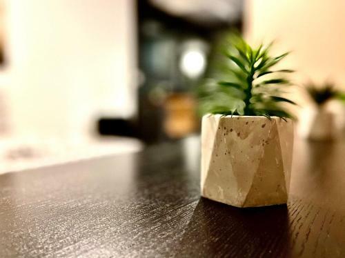 Apartamento *fontaine Moussue*hyper Centre*t2 Standing*